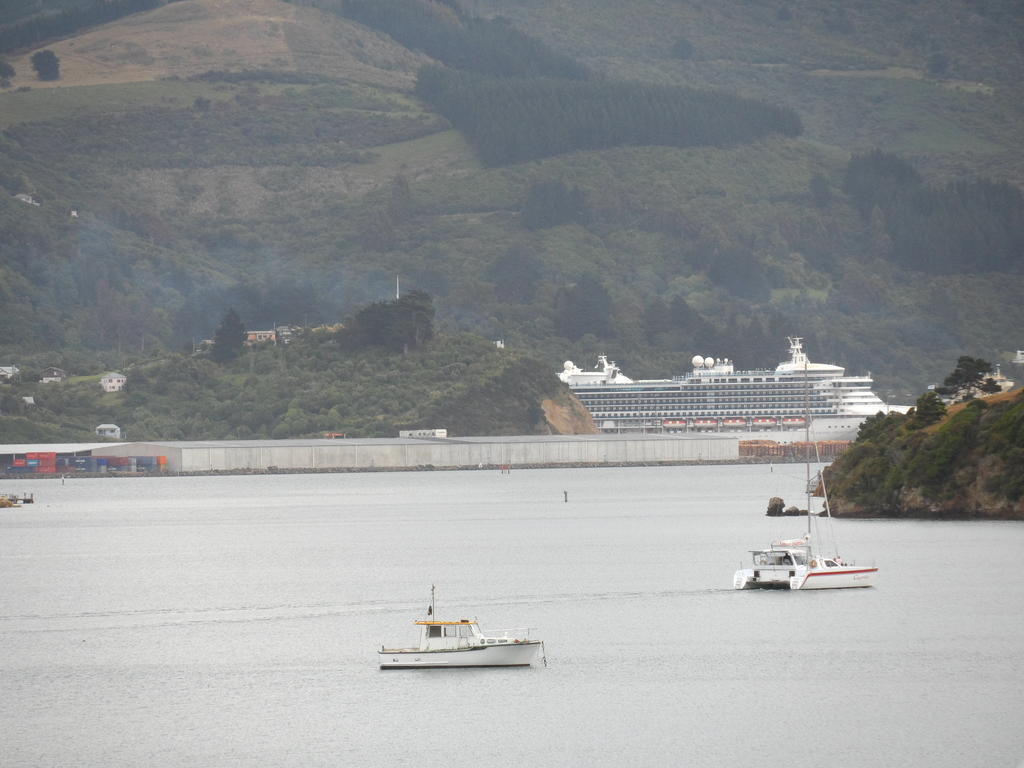 פורטובלו Otago Peninsula Motel מראה חיצוני תמונה