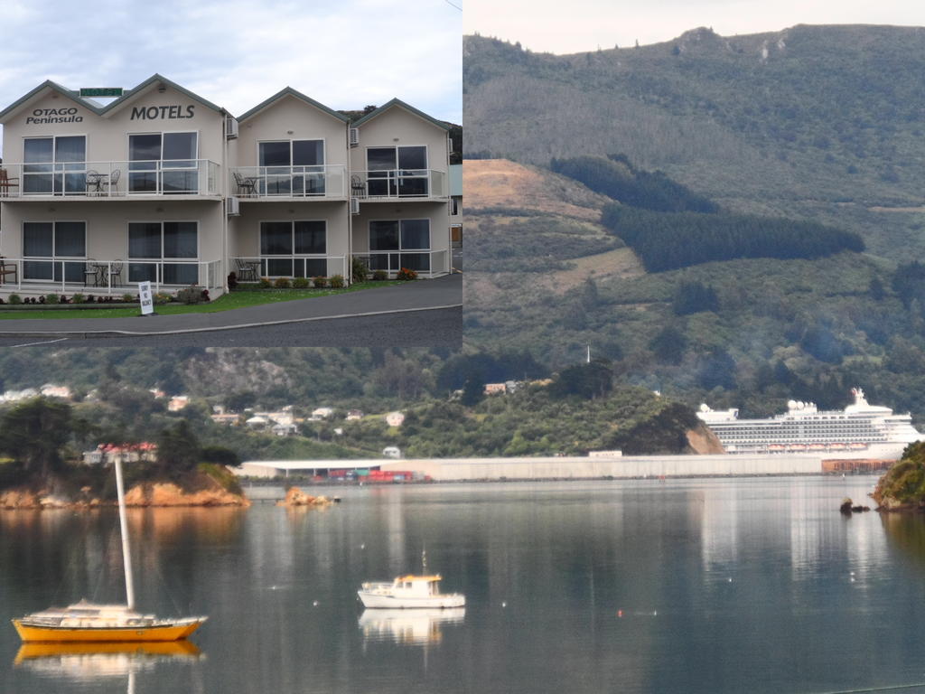 פורטובלו Otago Peninsula Motel מראה חיצוני תמונה